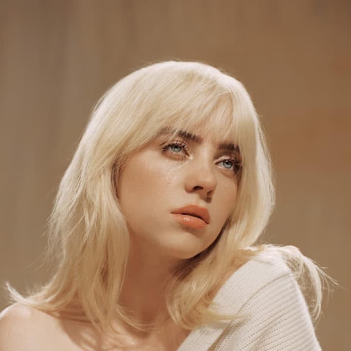 Billie Eilish voice cover